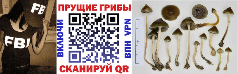 Галлюциногенные грибы MAGIC MUSHROOMS  даркнет сайт  mega ссылки  Вилючинск 